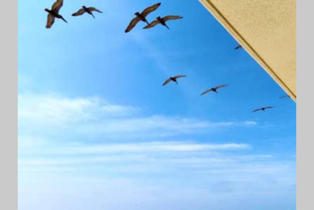 Beach Front 18Th Flr, Best Ocean View, New Upgrades Destin Dış mekan fotoğraf